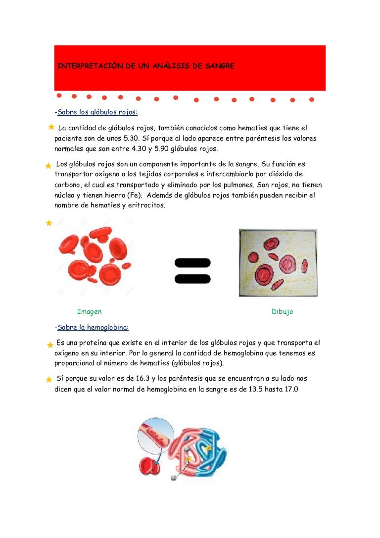 cantidad normal de eritrocitos en sangre